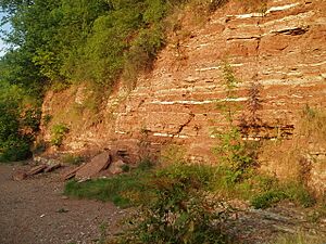 Cliffs at the south end of Gunthorpe weir - geograph.org.uk - 629291