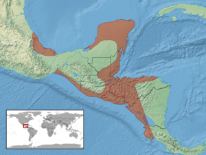 Conophis lineatus distribution.png