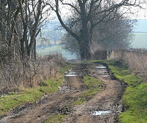 Course of a former Roman Road - geograph.org.uk - 693524