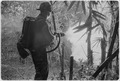 Da Nang, Vietnam.... Sergeant Robert E. Fears clears an area using his flamethrower. - NARA - 532491