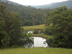 Dams along Pocket Road, Numinbah Valley, Queensland