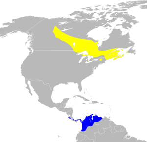 Dendroica castanea map.svg