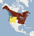 Distribution of Myotis lucifugus