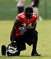 Ed Reed 2008-08-13