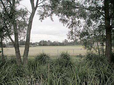 Edwin Wheeler Oval in Landa Park, Sadleir.jpg