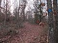 Entering Barnstable State Forest, Barnstable MA