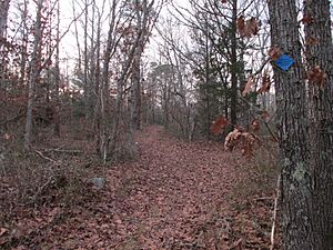 Entering Barnstable State Forest, Barnstable MA