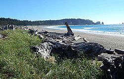 First Beach, La Push, Washington coast, Olympic National Park