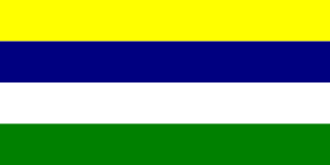 Flag of Colimes