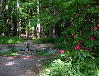 Fox-Cabin-Site-Lily-Dale-