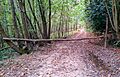 Gate in Woodland, Bream Wood, East Sussex - 300918 (geograph 5924979)