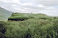 Grass covered house in Iceland 1972