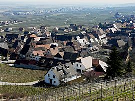Part of the village of Gueberschwihr seen from the hillside
