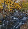 Ho-Ho-Kus Brook, Ho-Ho-Kus, NJ, in autumn