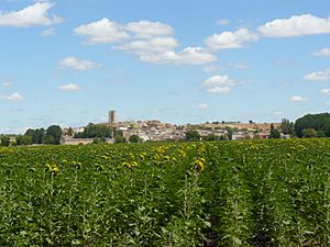 View of Hoyales de Roa, 2011