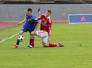 Iceland vs Denmark 4.6.2011 (5800523678)
