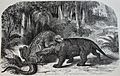 Iguanodon versus Megalosaurus