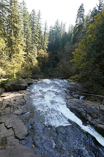Lacamas Creek, looking downstream, October 2020.jpg
