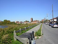 Left bank of Pugsleys Creek jeh