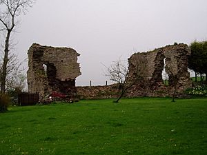 Llanddew Castle - geograph.org.uk - 158030
