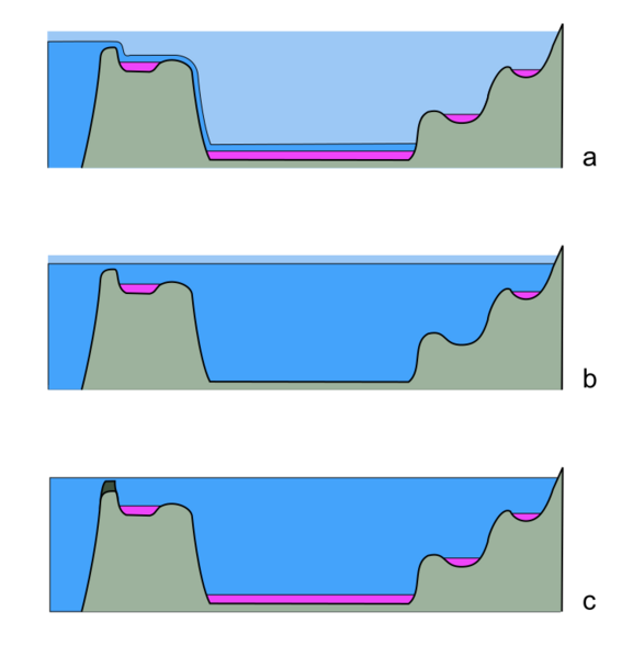 MSC basin hypotheses