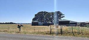 Picture of a farm in Malabon, Oregon, taken from the roadway