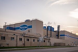 Malt-O-Meal (50535036821)
