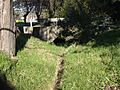 Marin Creek