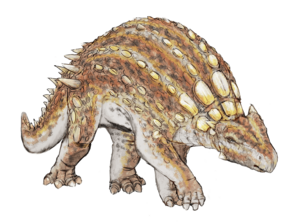 Minmi paravertebra dinosauria