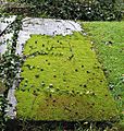 Moss-covered grave, St. Mary's, Newent. - geograph.org.uk - 526488