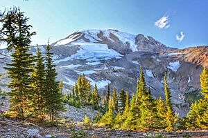 Mt. Adams from Bird Creek Meadows 03