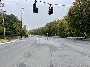 NY 101 at Bonnie Heights Road in Flower Hill, Looking South