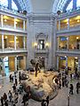 National Museum of Natural History, Washington, D.C. (2013) - 16