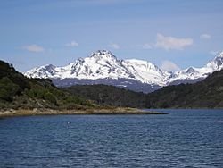 View from the Tierra del Fuego National Park in Argentina across the Beagle Channel to Isla Hoste in Chile