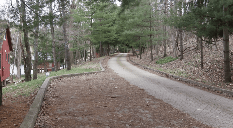 NewVrindaban-Oxen-Road