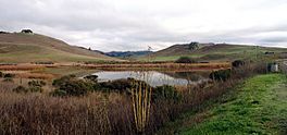 Nicasio Reservoir in Marin County California.jpg