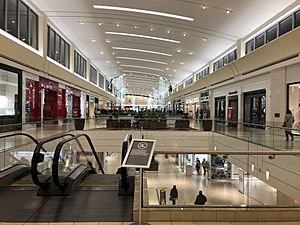 Dsw northshore mall on sale
