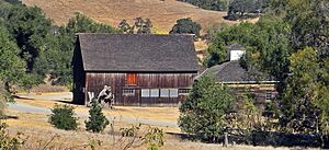 Olompali State Park Burdell Barn 9 30 2012 (4)