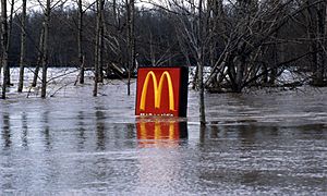 Pacific Northwest Flood of 1996 (24822181235)