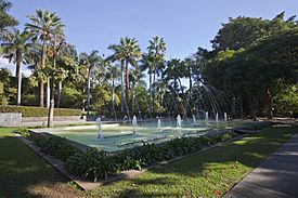 Parque García Sanabria, Santa Cruz de Tenerife, España, 2012-12-15, DD 05.jpg