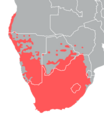 Passer melanurus distribution