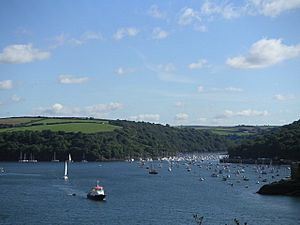 Penleath Point and Fowey Harbour - geograph.org.uk - 254027