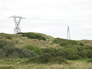 Power lines on Upton Towans - geograph.org.uk - 57430