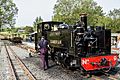Prince of Wales Steam train - panoramio