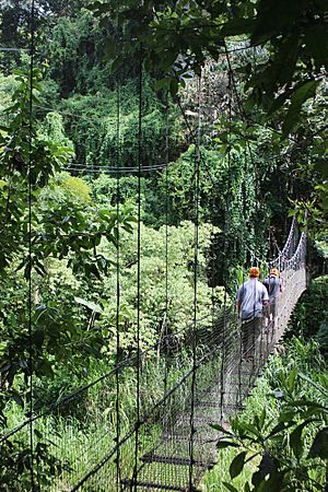 Bridge over Tanamá River in Roncador