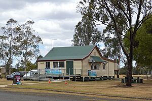 Quinalow Library 001