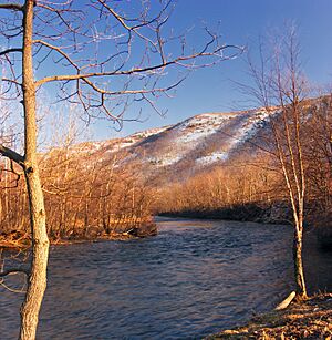 Riparian Lehigh River