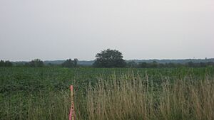 Roberts Mound from State Route 129