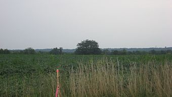 Roberts Mound from State Route 129.jpg