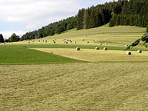 Sainte Croix Landscape